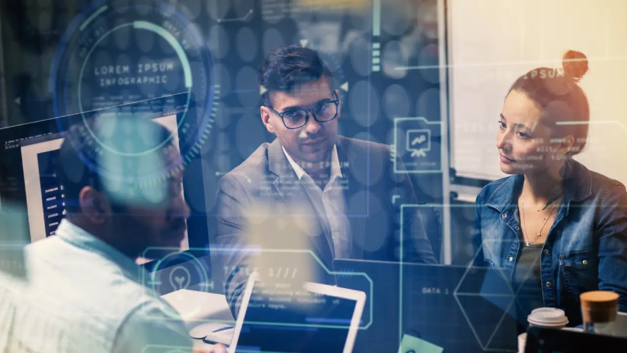 Software Consulting